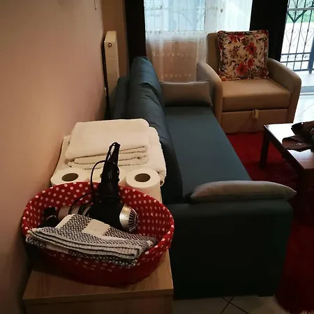 Appartement Studio Wild Flower Tríkala
